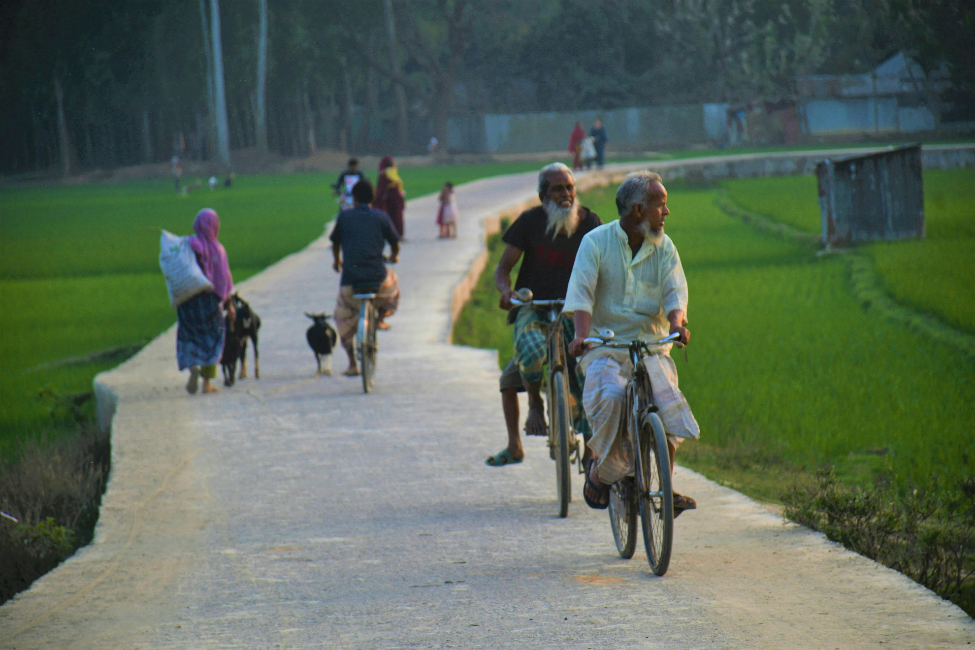গ্রাম বাংলার প্রবাসী পরিবার